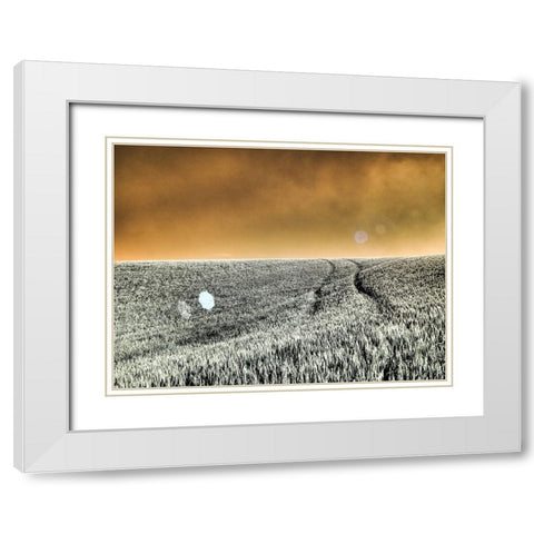 USA-Washington State-Palouse region-Rolling Hills of wheat White Modern Wood Framed Art Print with Double Matting by Eggers, Terry