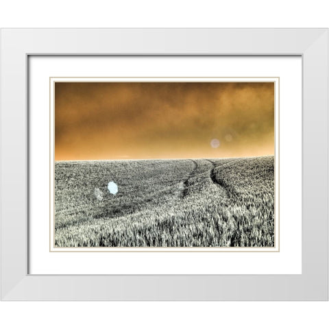 USA-Washington State-Palouse region-Rolling Hills of wheat White Modern Wood Framed Art Print with Double Matting by Eggers, Terry