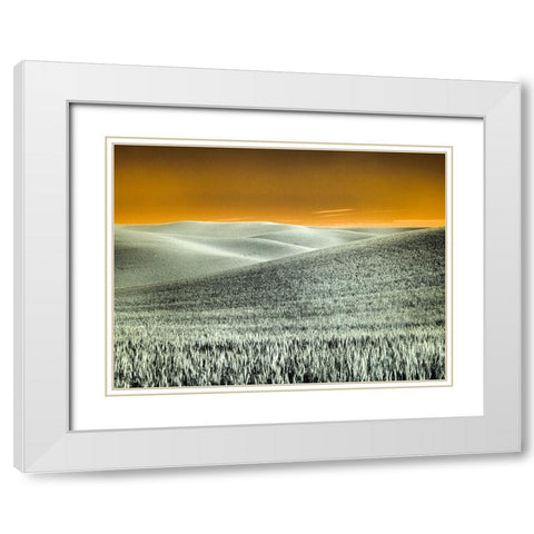 USA-Washington State-Palouse region-Rolling Hills of wheat White Modern Wood Framed Art Print with Double Matting by Eggers, Terry