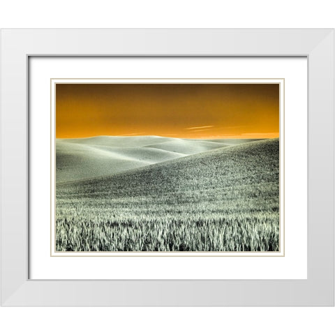 USA-Washington State-Palouse region-Rolling Hills of wheat White Modern Wood Framed Art Print with Double Matting by Eggers, Terry