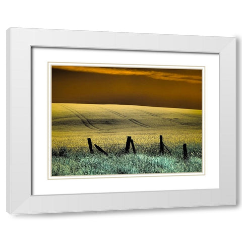 USA-Washington State-Palouse region-Fence and field of wheat White Modern Wood Framed Art Print with Double Matting by Eggers, Terry