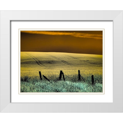 USA-Washington State-Palouse region-Fence and field of wheat White Modern Wood Framed Art Print with Double Matting by Eggers, Terry