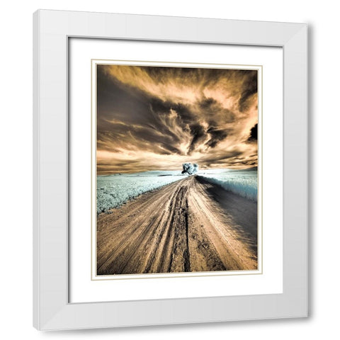 USA-Washington State-Palouse region-Backcountry road leading to Lone Tree White Modern Wood Framed Art Print with Double Matting by Eggers, Terry