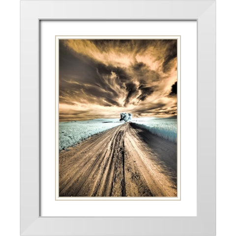 USA-Washington State-Palouse region-Backcountry road leading to Lone Tree White Modern Wood Framed Art Print with Double Matting by Eggers, Terry