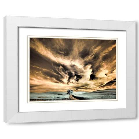 USA-Washington State-Palouse region-Backcountry road leading to Lone Tree White Modern Wood Framed Art Print with Double Matting by Eggers, Terry