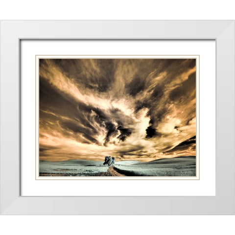 USA-Washington State-Palouse region-Backcountry road leading to Lone Tree White Modern Wood Framed Art Print with Double Matting by Eggers, Terry