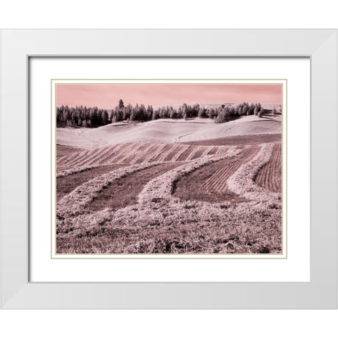 USA-Washington State-Palouse region-Harvest cut lines in Field White Modern Wood Framed Art Print with Double Matting by Eggers, Terry