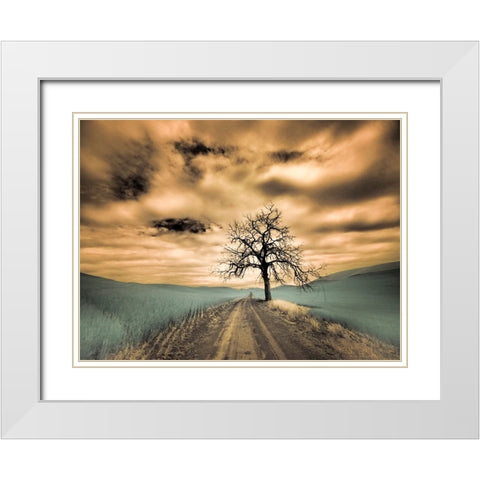 USA-Washington State-Palouse Infrared of lone tree along side country road White Modern Wood Framed Art Print with Double Matting by Eggers, Terry