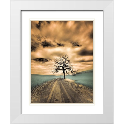 USA-Washington State-Palouse Infrared of lone tree along side country road White Modern Wood Framed Art Print with Double Matting by Eggers, Terry