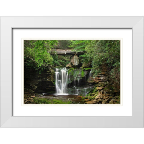 First or Upper Ekalaka Falls-Blackwater Falls State Park-West Virginia White Modern Wood Framed Art Print with Double Matting by Majchrowicz, Alan