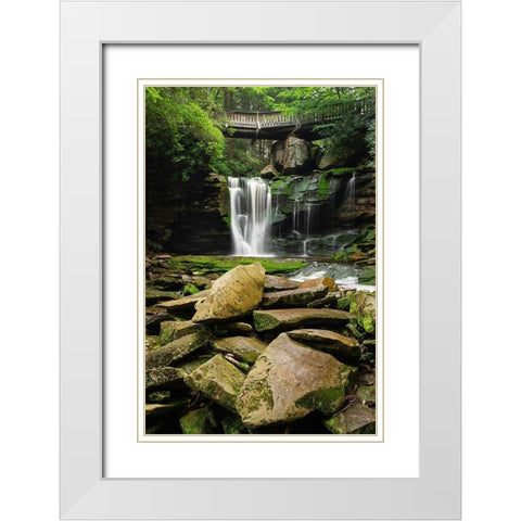 First or Upper Ekalaka Falls-Blackwater Falls State Park-West Virginia White Modern Wood Framed Art Print with Double Matting by Majchrowicz, Alan