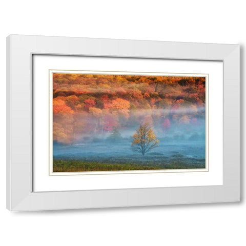 WV, Davis Misty valley and forest in Autumn White Modern Wood Framed Art Print with Double Matting by OBrien, Jay