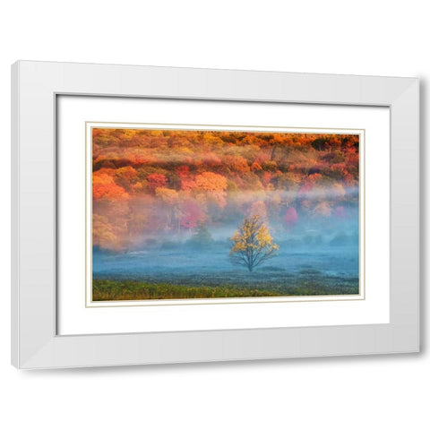 WV, Davis Mist and forest in autumn color White Modern Wood Framed Art Print with Double Matting by OBrien, Jay