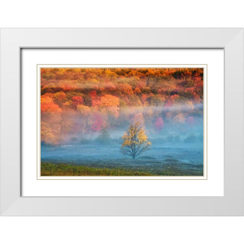 WV, Davis Mist and forest in autumn color White Modern Wood Framed Art Print with Double Matting by OBrien, Jay