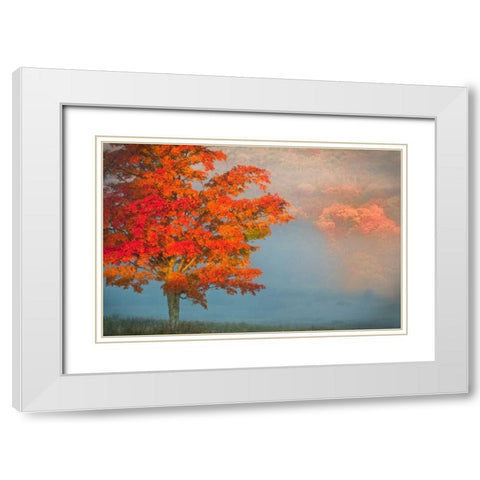 WV, Davis Mist and forest in autumn color White Modern Wood Framed Art Print with Double Matting by OBrien, Jay