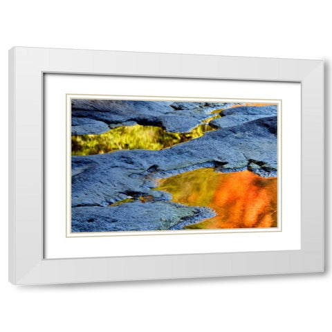 WV, Blackwater Falls SP Autumn reflections White Modern Wood Framed Art Print with Double Matting by OBrien, Jay