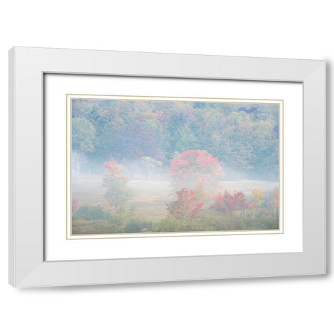 USA-West Virginia-Davis Foggy forest in fall colors White Modern Wood Framed Art Print with Double Matting by Jaynes Gallery