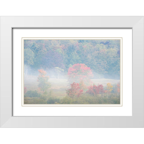 USA-West Virginia-Davis Foggy forest in fall colors White Modern Wood Framed Art Print with Double Matting by Jaynes Gallery