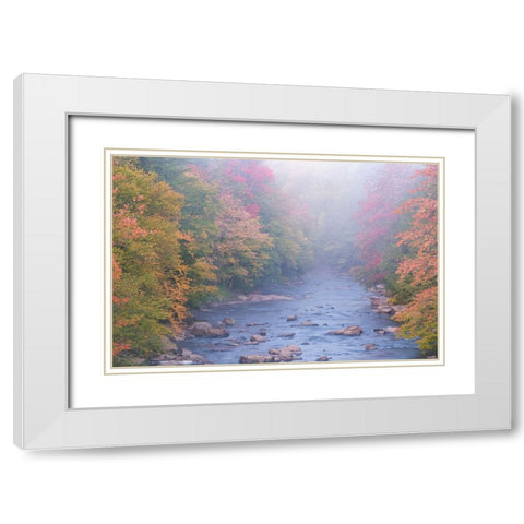 USA-West Virginia-Davis Foggy stream in Blackwater State Park White Modern Wood Framed Art Print with Double Matting by Jaynes Gallery
