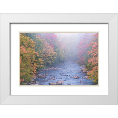 USA-West Virginia-Davis Foggy stream in Blackwater State Park White Modern Wood Framed Art Print with Double Matting by Jaynes Gallery
