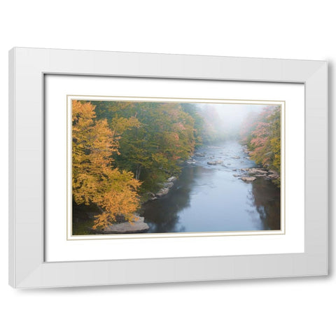 USA-West Virginia-Davis Foggy stream in Blackwater State Park White Modern Wood Framed Art Print with Double Matting by Jaynes Gallery