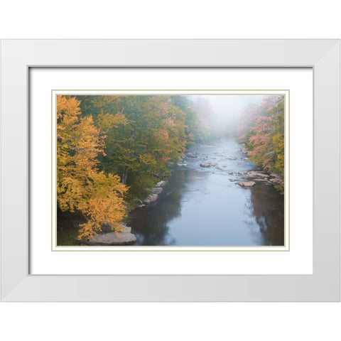 USA-West Virginia-Davis Foggy stream in Blackwater State Park White Modern Wood Framed Art Print with Double Matting by Jaynes Gallery