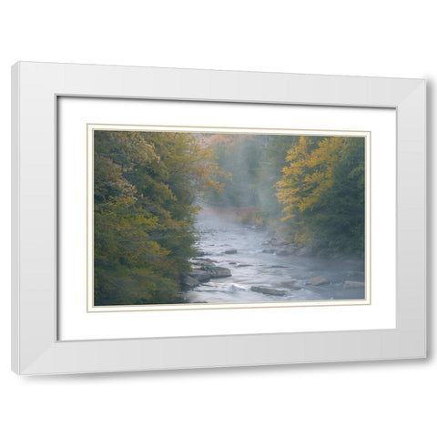 USA-West Virginia-Davis Foggy stream in Blackwater State Park White Modern Wood Framed Art Print with Double Matting by Jaynes Gallery