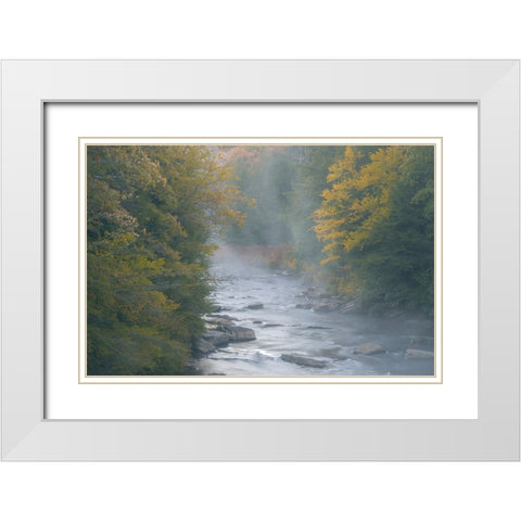 USA-West Virginia-Davis Foggy stream in Blackwater State Park White Modern Wood Framed Art Print with Double Matting by Jaynes Gallery