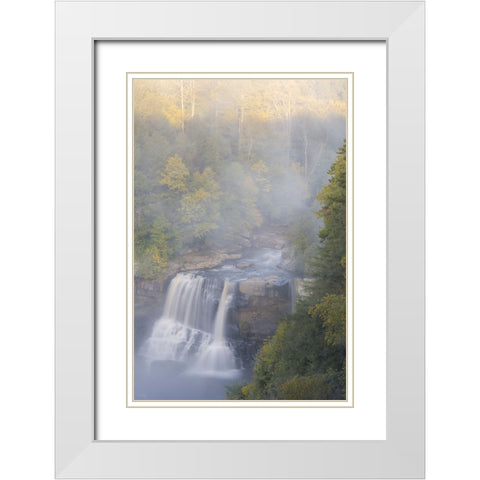 USA-West Virginia-Davis Overview of waterfall in Blackwater State Park White Modern Wood Framed Art Print with Double Matting by Jaynes Gallery