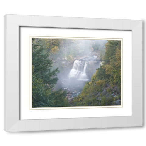 USA-West Virginia-Davis Overview of waterfall in Blackwater State Park White Modern Wood Framed Art Print with Double Matting by Jaynes Gallery