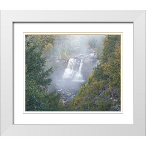 USA-West Virginia-Davis Overview of waterfall in Blackwater State Park White Modern Wood Framed Art Print with Double Matting by Jaynes Gallery