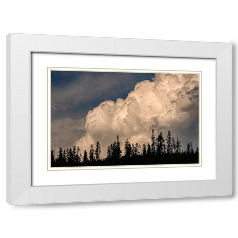 Trees silhouetted against cumulus cloud-Yellowstone National Park-Wyoming White Modern Wood Framed Art Print with Double Matting by Jones, Adam