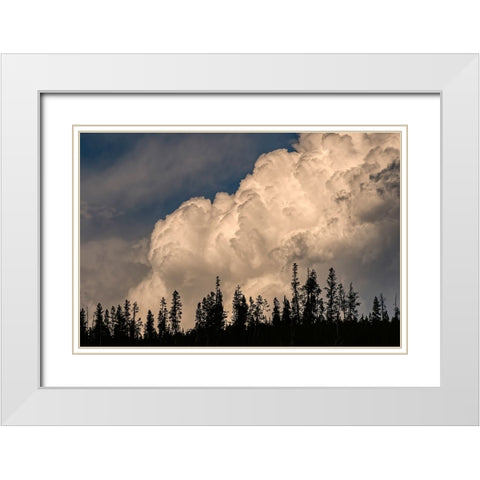 Trees silhouetted against cumulus cloud-Yellowstone National Park-Wyoming White Modern Wood Framed Art Print with Double Matting by Jones, Adam