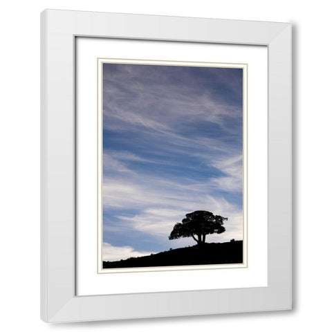 Single tree silhouetted at sunrise-Yellowstone National Park-Wyoming White Modern Wood Framed Art Print with Double Matting by Jones, Adam