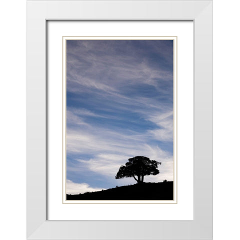 Single tree silhouetted at sunrise-Yellowstone National Park-Wyoming White Modern Wood Framed Art Print with Double Matting by Jones, Adam
