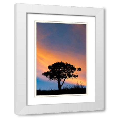 Single tree silhouetted at sunrise-Yellowstone National Park-Wyoming White Modern Wood Framed Art Print with Double Matting by Jones, Adam