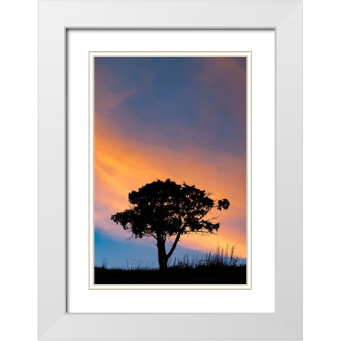 Single tree silhouetted at sunrise-Yellowstone National Park-Wyoming White Modern Wood Framed Art Print with Double Matting by Jones, Adam