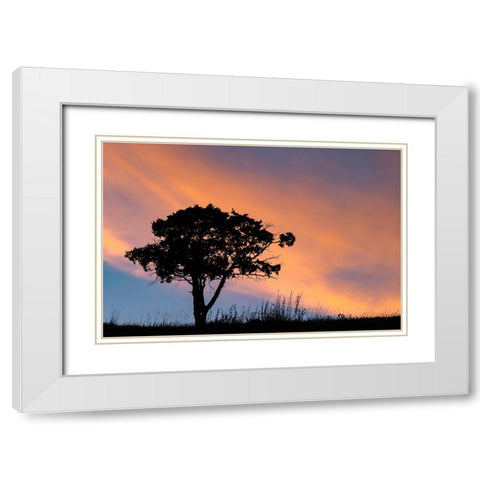 Single tree silhouetted at sunrise-Yellowstone National Park-Wyoming White Modern Wood Framed Art Print with Double Matting by Jones, Adam