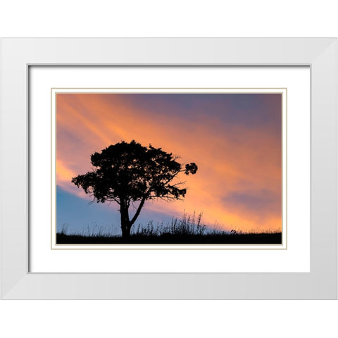 Single tree silhouetted at sunrise-Yellowstone National Park-Wyoming White Modern Wood Framed Art Print with Double Matting by Jones, Adam