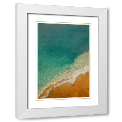 WY, Yellowstone Thermophilic algae in Black Pool White Modern Wood Framed Art Print with Double Matting by Grall, Don
