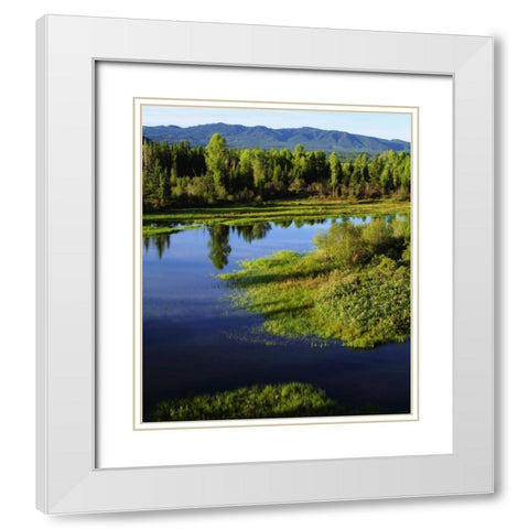 WY, Grand Tetons A Meadow in the Grand Tetons White Modern Wood Framed Art Print with Double Matting by Talbot Frank, Christopher