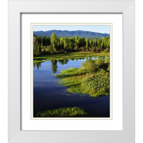 WY, Grand Tetons A Meadow in the Grand Tetons White Modern Wood Framed Art Print with Double Matting by Talbot Frank, Christopher