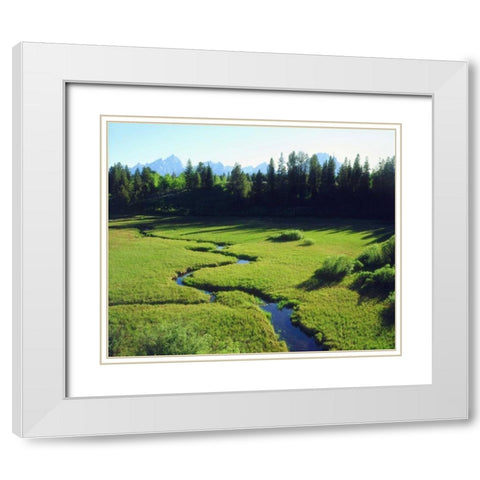 WY, Grand Tetons Grand Tetons and a lush meadow White Modern Wood Framed Art Print with Double Matting by Talbot Frank, Christopher