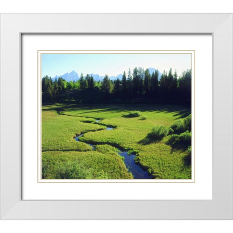 WY, Grand Tetons Grand Tetons and a lush meadow White Modern Wood Framed Art Print with Double Matting by Talbot Frank, Christopher
