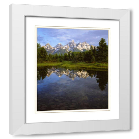 Wyoming Grand Tetons reflect in the Snake River White Modern Wood Framed Art Print with Double Matting by Talbot Frank, Christopher