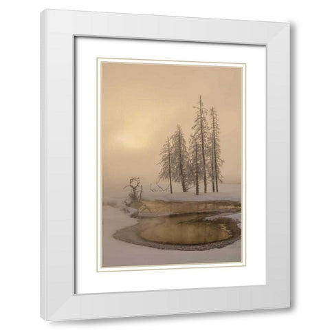 USA, Wyoming, Yellowstone NP Foggy winter scenic White Modern Wood Framed Art Print with Double Matting by Illg, Cathy and Gordon