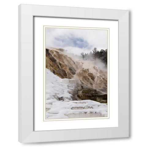 Wyoming, Yellowstone Mammoth Hot Springs scenic White Modern Wood Framed Art Print with Double Matting by Bush, Marie