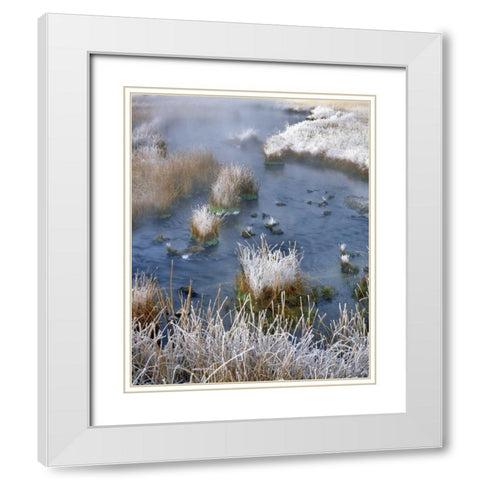 Wyoming, Yellowstone NP Frost along White Creek White Modern Wood Framed Art Print with Double Matting by Terrill, Steve