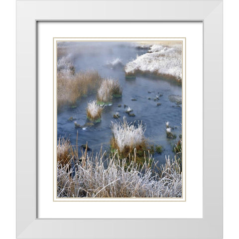 Wyoming, Yellowstone NP Frost along White Creek White Modern Wood Framed Art Print with Double Matting by Terrill, Steve