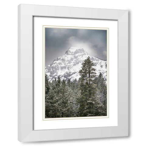 Wyoming-Yellowstone National Park Spring snow storm on mountain White Modern Wood Framed Art Print with Double Matting by Jaynes Gallery